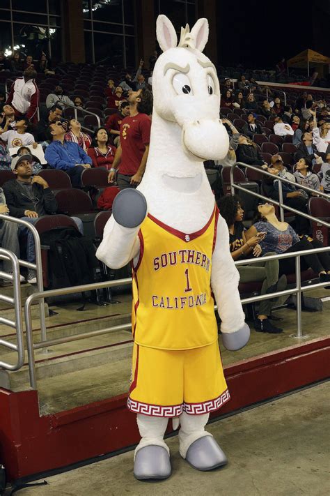 The USC Arabian Mascot: A Symbol of Strength and Tradition